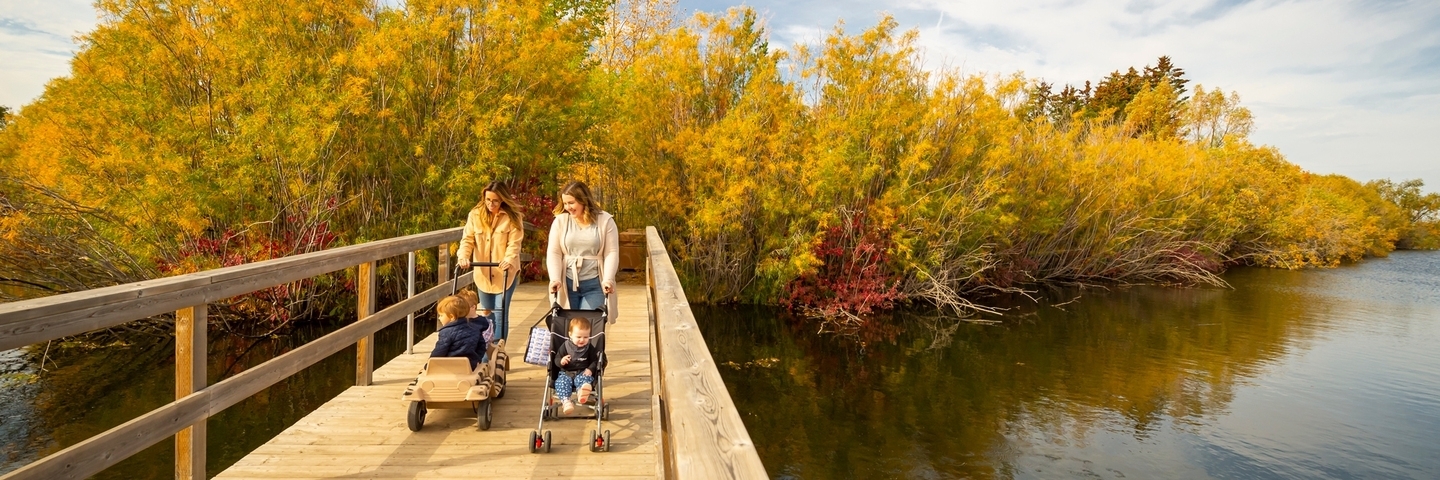 two women pushing strollers across a bridge in the fall